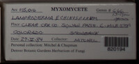 Image Associated With the Occurence